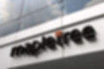 mapletree logo.jpg